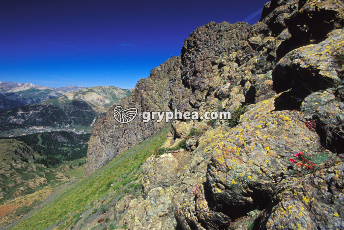 Pillow-lavas (Chenaillet) - gryphea.com